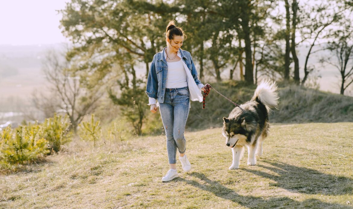 dog walking delray beach