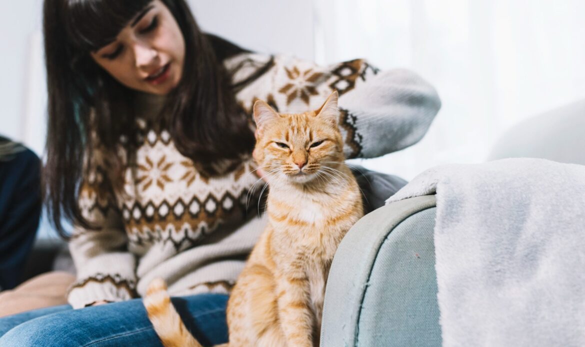 in-home cat care delray beach