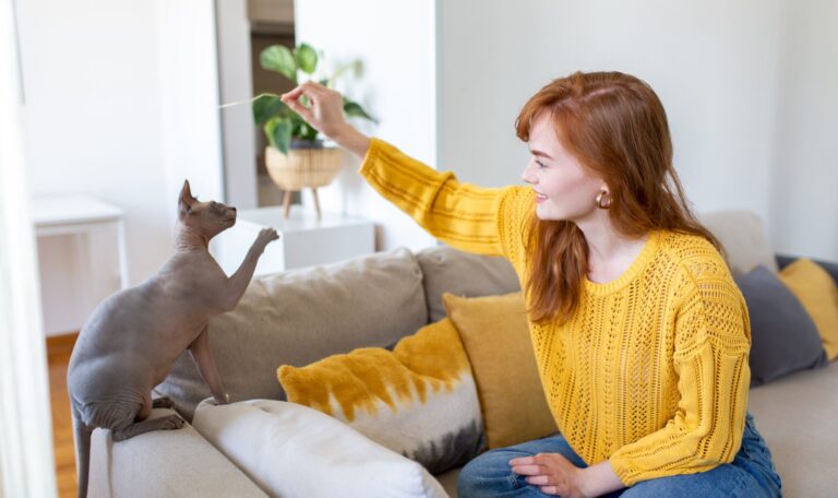 Expert cat sitter Boynton Beach for your furry friend