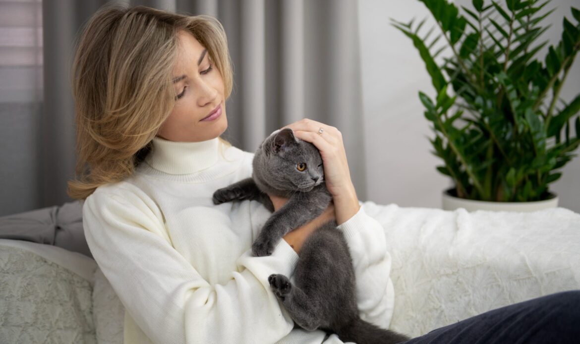 Best cat sitting company Palm Beach providing loving in-home care for relaxed, happy cats
