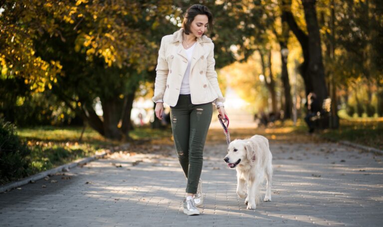 Dog walker Boca Raton walking dogs along a palm-lined residential neighborhood