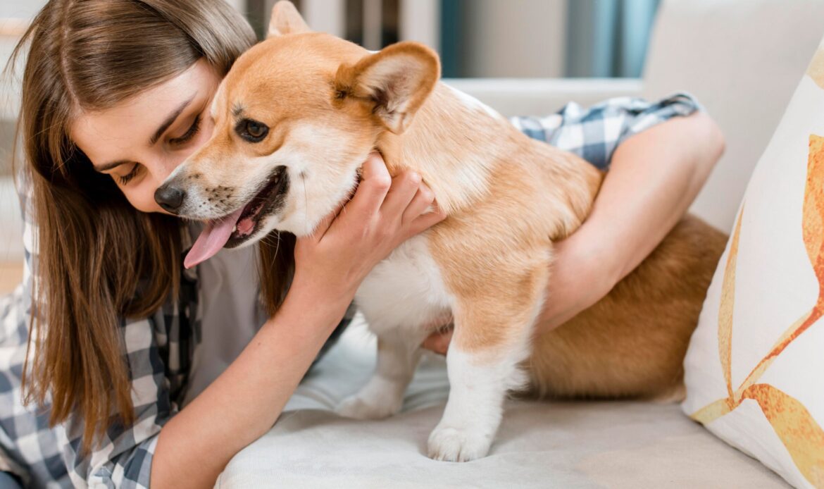 Dog relaxing at home as an alternative to dog daycare in Palm Beach Gardens