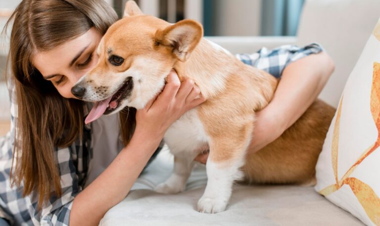 Dog relaxing at home as an alternative to dog daycare in Palm Beach Gardens