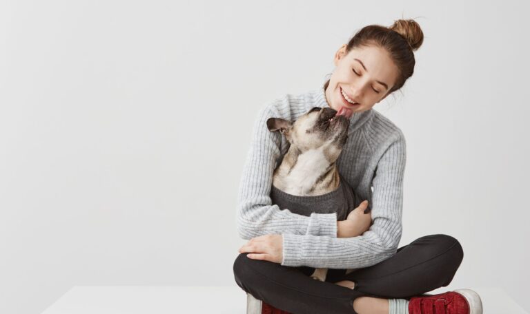 Looking for a Rover Alternative in Boynton Beach